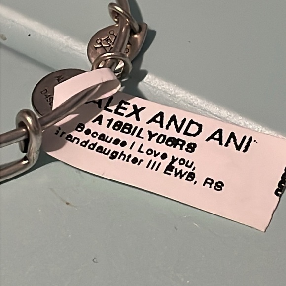 NWT Alex and Ani Bracelet - Picture 3 of 5